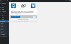 Page screenshot: Alt Manager Settings ‹ Test site — WordPress