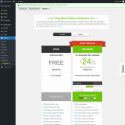 Page screenshot: Settings → Alt Manager → Upgrade  ➤