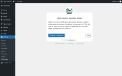 Page screenshot: Alt Manager Settings ‹ Test site — WordPress