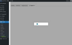 Page screenshot: Settings → Alt Manager → Upgrade  ➤