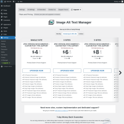 Page screenshot: Settings → Alt Manager → Upgrade  ➤