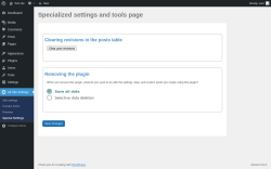 Page screenshot: Alt Site Settings &rarr; Special Settings