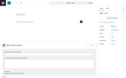 Page screenshot: Add Page &lsaquo; Test site &mdash; WordPress