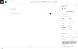 Page screenshot: Add Post ‹ Test site — WordPress
