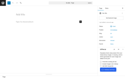 Page screenshot: Add Page ‹ Test site — WordPress