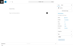 Page screenshot: Add Post &lsaquo; Test site &mdash; WordPress