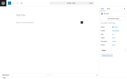 Page screenshot: Add Page &lsaquo; Test site &mdash; WordPress