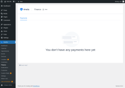 Page screenshot: Amelia → Finance