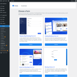 Page screenshot: Amelia &rarr; Customize
