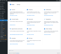 Page screenshot: Amelia &rarr; Settings