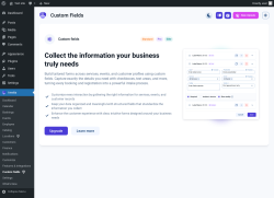 Page screenshot: Amelia &rarr; Custom Fields