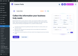 Page screenshot: Amelia &rarr; Custom Fields