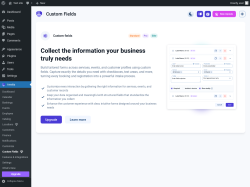 Page screenshot: Amelia &rarr; Custom Fields