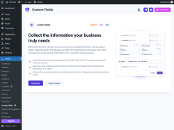 Page screenshot: Amelia &rarr; Custom Fields