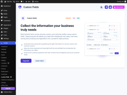 Page screenshot: Amelia &rarr; Custom Fields