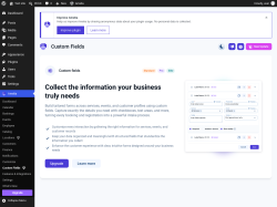Page screenshot: Amelia &rarr; Custom Fields