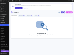 Page screenshot: Amelia &rarr; Finance