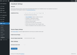 Page screenshot: Settings → Amplitude