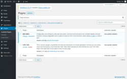 Page screenshot: Plugins &lsaquo; Test site &mdash; WordPress