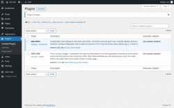 Page screenshot: Plugins &lsaquo; Test site &mdash; WordPress