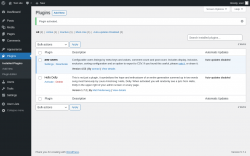 Page screenshot: Plugins &lsaquo; Test site &mdash; WordPress