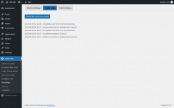 Page screenshot: User Lists &rarr; Cacheing &rarr; Cache Logs