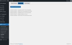Page screenshot: User Lists &rarr; Cacheing &rarr; Cache Logs