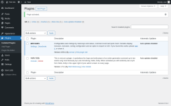 Page screenshot: Plugins &lsaquo; Test site &mdash; WordPress