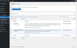 Page screenshot: Plugins &lsaquo; Test site &mdash; WordPress