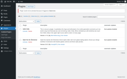 Page screenshot: Plugins &lsaquo; Test site &mdash; WordPress