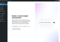 Page screenshot: Angie &lsaquo; Test site &mdash; WordPress