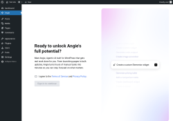 Page screenshot: Angie