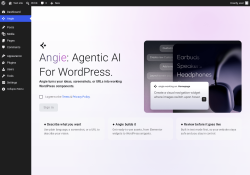 Page screenshot: Angie