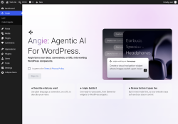 Page screenshot: Angie &lsaquo; Test site &mdash; WordPress