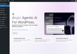 Page screenshot: Angie