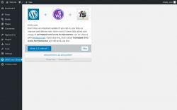 Page screenshot: Animated SVG Icon Library ‹ Test site — WordPress