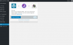 Page screenshot: Animated SVG Icon Library ‹ Test site — WordPress