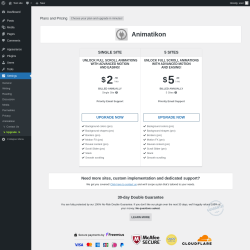 Page screenshot: Settings &rarr; Upgrade&nbsp;&nbsp;➤
