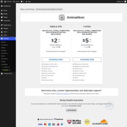 Page screenshot: Settings &rarr; Upgrade&nbsp;&nbsp;➤