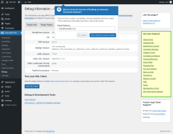 Page screenshot: Classified Ads → Debug → 
        Environment    