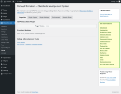 Page screenshot: Classified Ads → Debug
