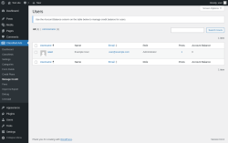 Page screenshot: Classified Ads → Manage Credit