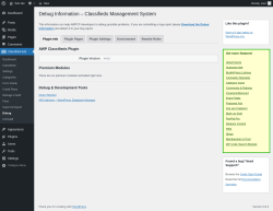 Page screenshot: Classified Ads → Debug