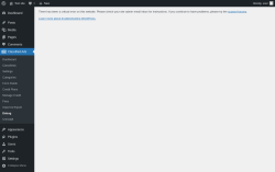 Page screenshot: Classified Ads → Debug → 
        Environment    