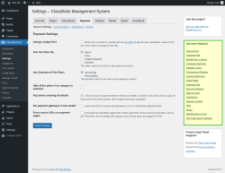 Page screenshot: Classified Ads → Settings → Payment