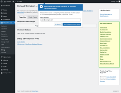 Page screenshot: Classified Ads → Debug