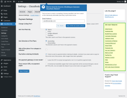 Page screenshot: Classified Ads → Settings → Payment