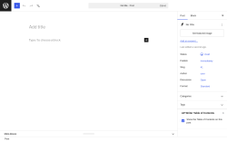 Page screenshot: Add Post &lsaquo; Test site &mdash; WordPress