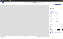 Page screenshot: Add Post &lsaquo; Test site &mdash; WordPress