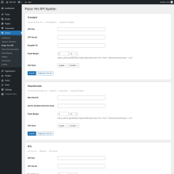 Page screenshot: Isarud &rarr; Pazar Yeri API